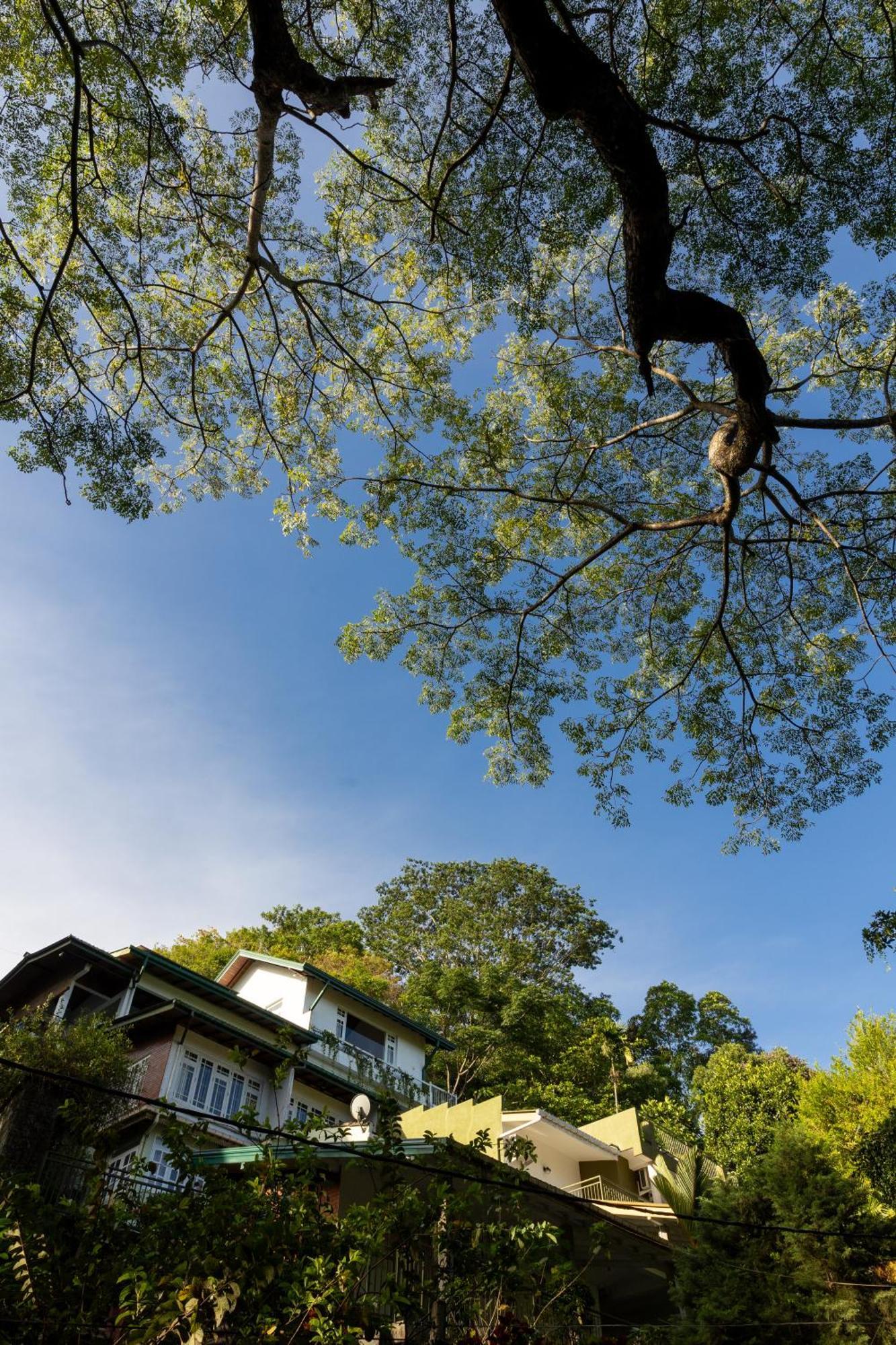 Greenwood Edge Hanthana Kandy Buitenkant foto