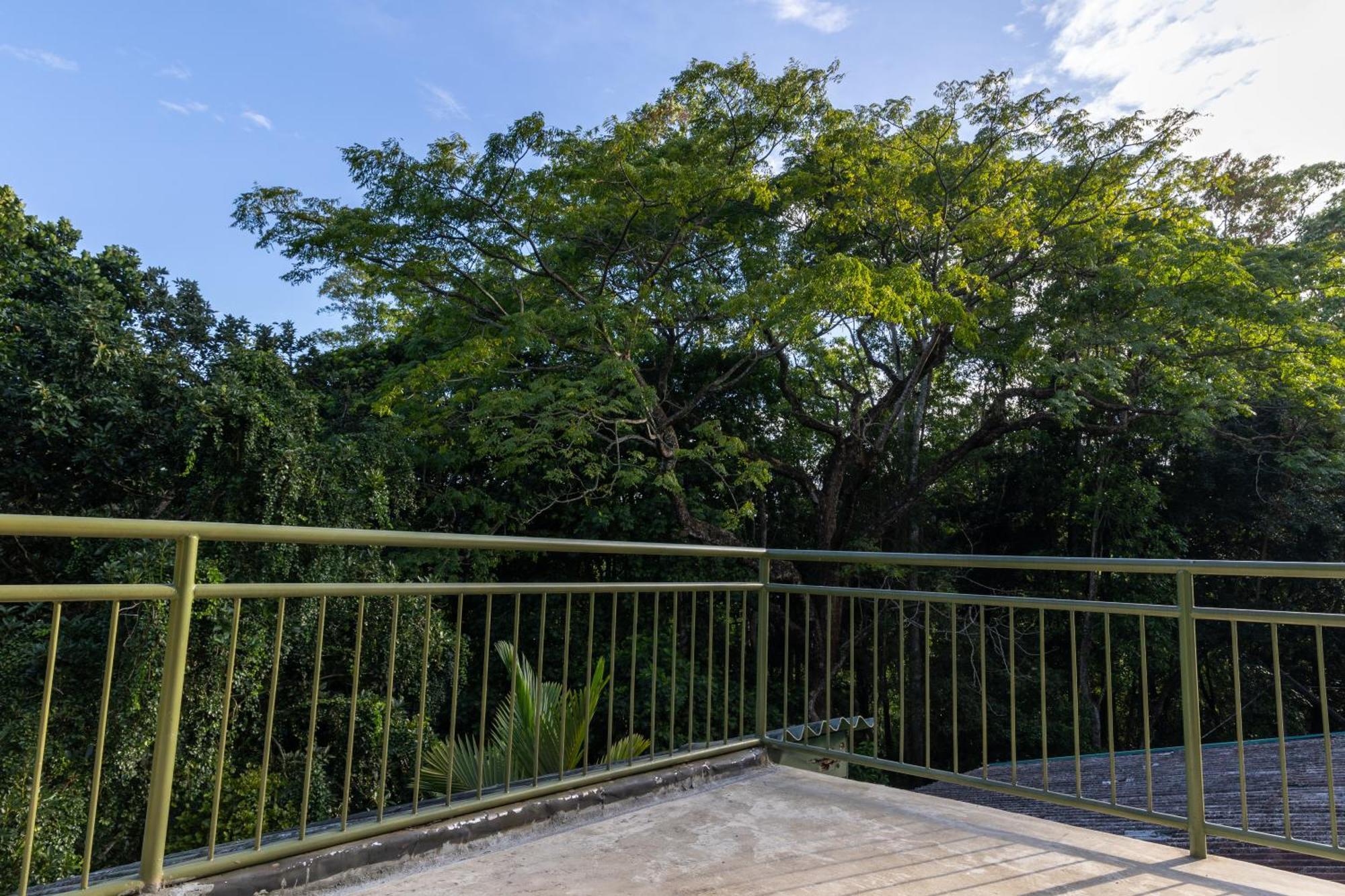 Greenwood Edge Hanthana Kandy Buitenkant foto
